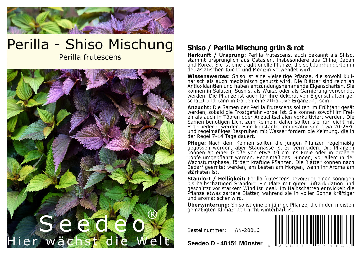 Seedeo® Shiso / Perilla Mischung grün & rot ca. 200 Samen