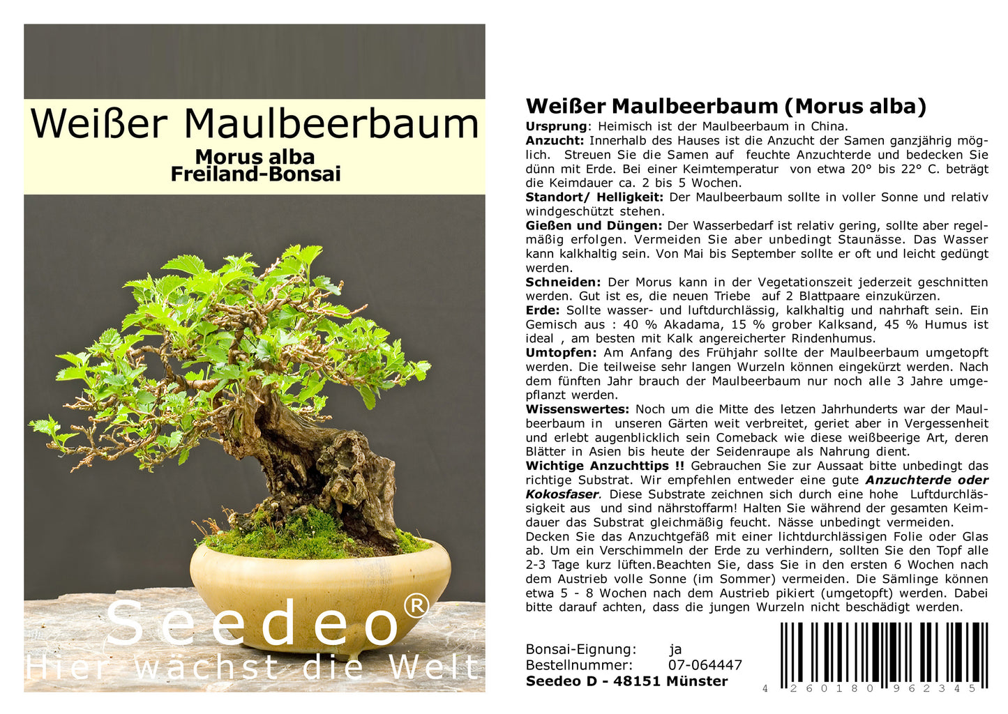 Seedeo® Bonsai Anzuchtset Fernost deluxe (Roter Fächerahorn, Weißer Maulbeerbaum, Blauregen, Mädchenkiefer.)