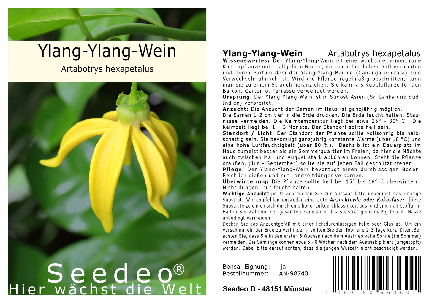 Seedeo® Ylang-Ylang-Wein (Artabotrys hexapetalus) 6 Samen