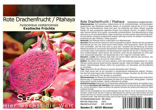 Seedeo® Rote Drachenfrucht / Pitahaya  (Hylocereus costaricensis)  20 Samen