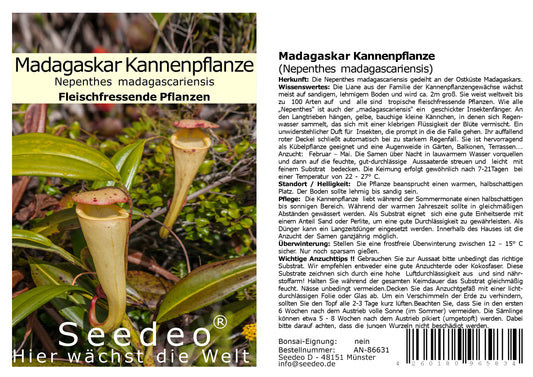 Seedeo® Madagaskar Kannenpflanze (Nepenthes madagascariensis) 20 Samen inkl. Anzuchtsubstrat