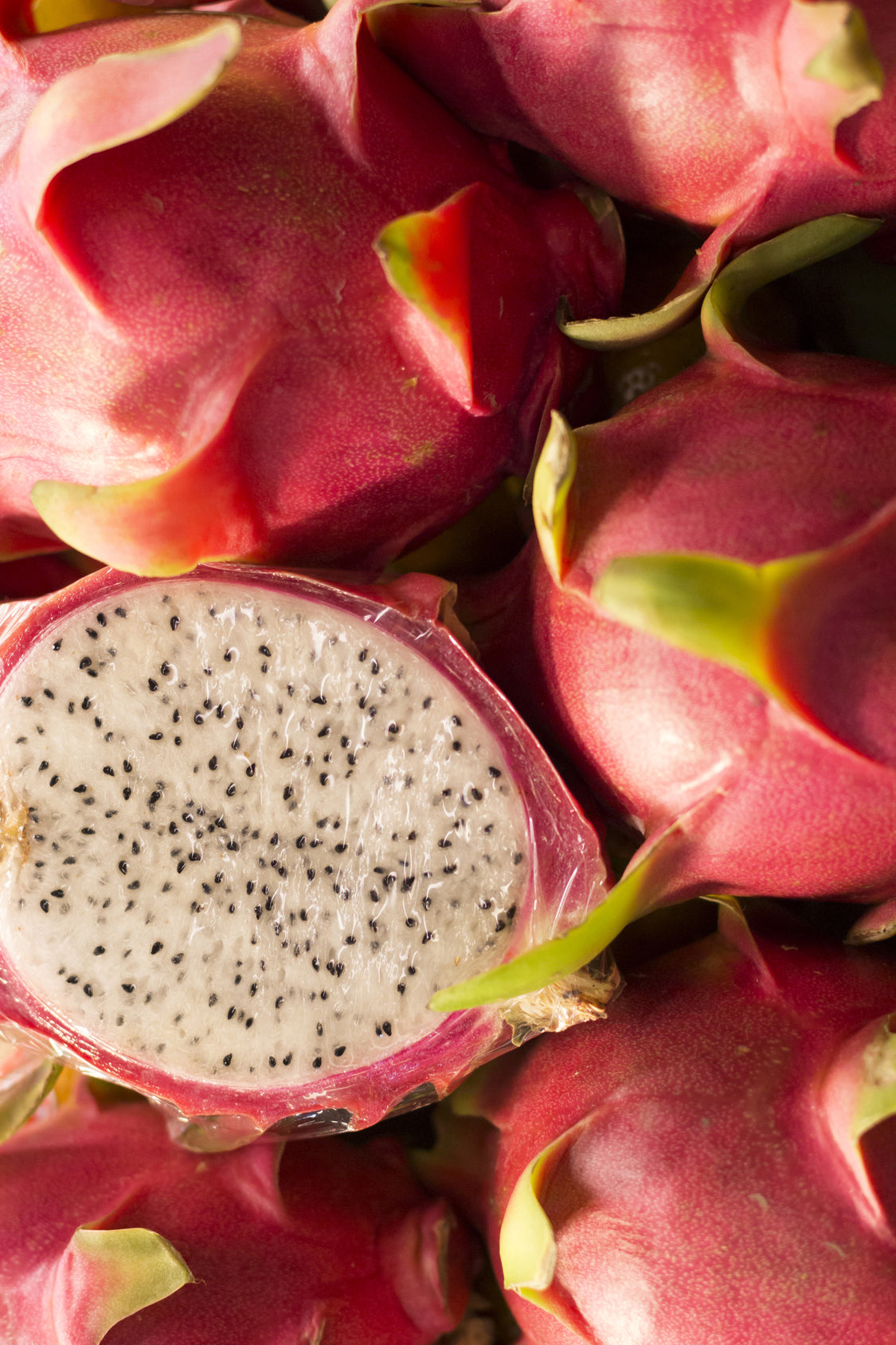 Seedeo® Pitahaya/Drachenfrucht Hylocereus undatus 20 Samen