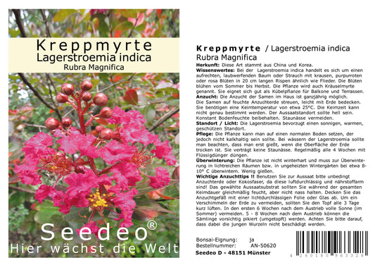 Seedeo® Kreppmyrte/Lagerstroemia Indica Rubra Magnifica (5 Kapseln) 100 Samen