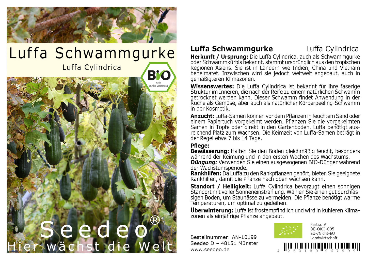 Seedeo® Luffa Schwammgurke (Luffa Cylindrica) 10 Samen BIO