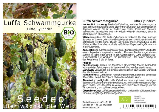 Seedeo® Luffa Schwammgurke (Luffa Cylindrica) 10 Samen BIO