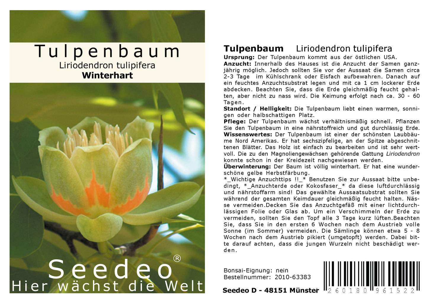 Seedeo® Tulpenbaum Liriodendron tulipifera 30 Samen