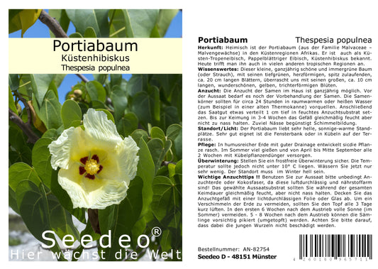 Seedeo® Portiabaum (Thespesia populnea) 20 Samen