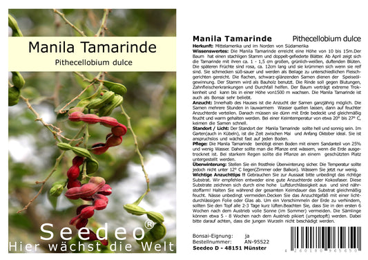 Seedeo® Manila Tamarinde (Pithecellobium dulce) 20 Samen