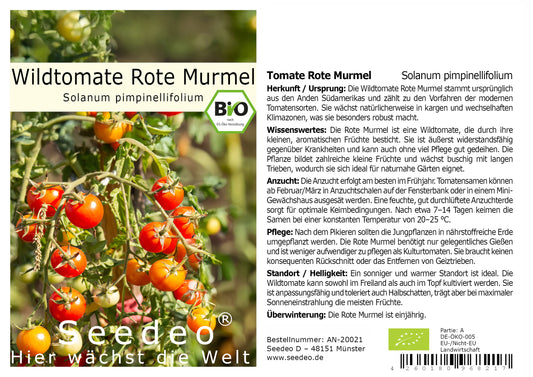 Seedeo® Wildtomate Rote Murmel (Solanum pimpinellifolium) BIO 10 Samen