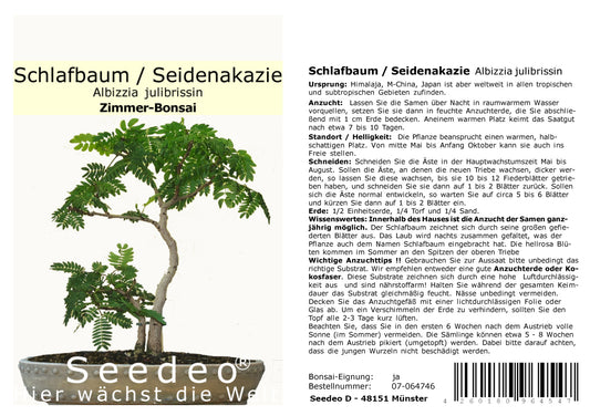 Seedeo® Seidenakazie/Schlafbaum (Albizzia julibrissin) Bonsai 50 Samen