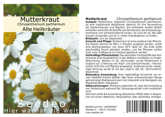 Seedeo® Mutterkraut (Chrysanthemum parthenium) 1000 Samen