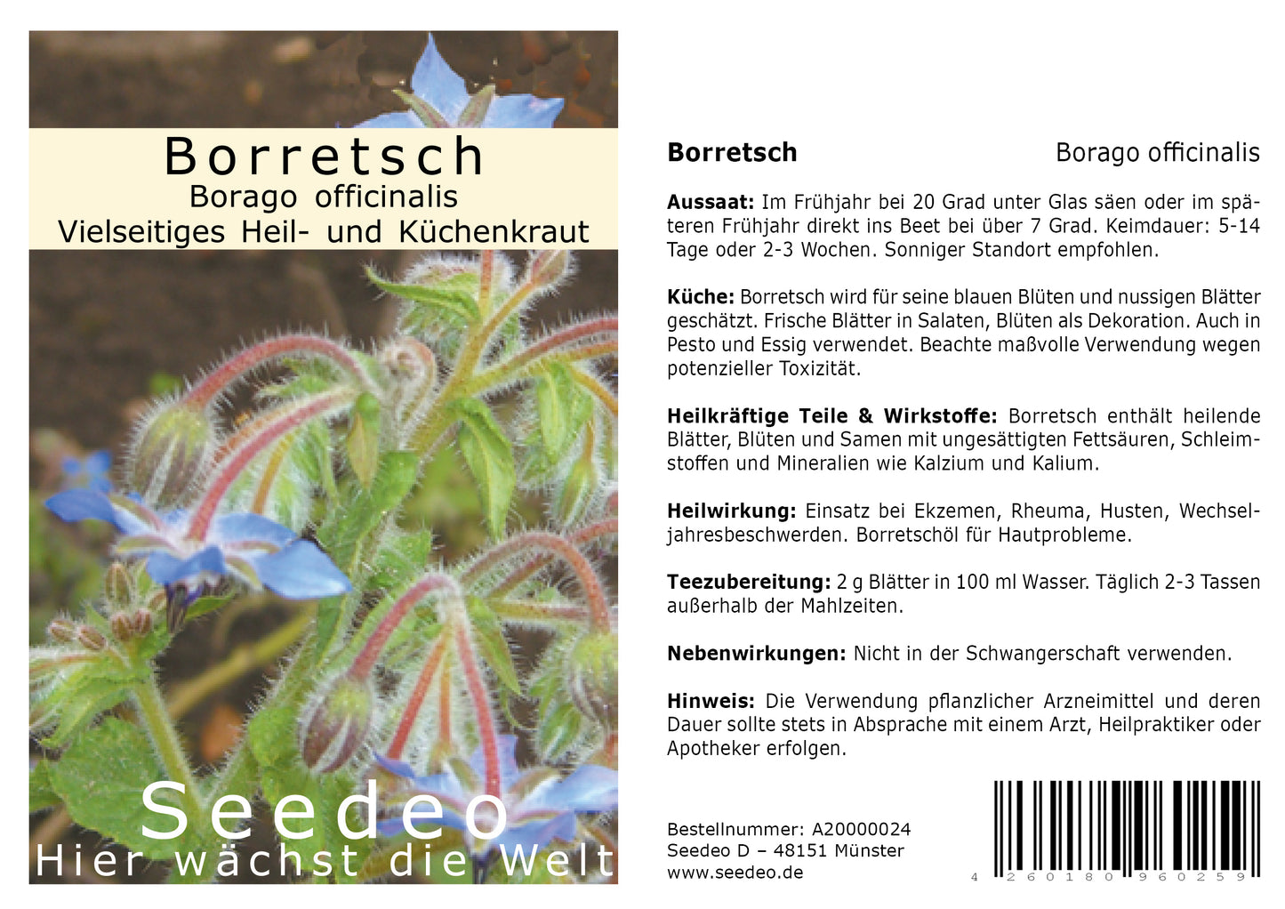 Seedeo® Borretsch (Borago officinalis) 100 Korn