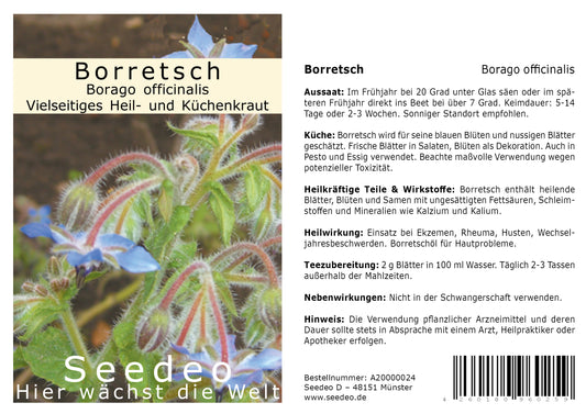 Seedeo® Borretsch (Borago officinalis) 100 Korn