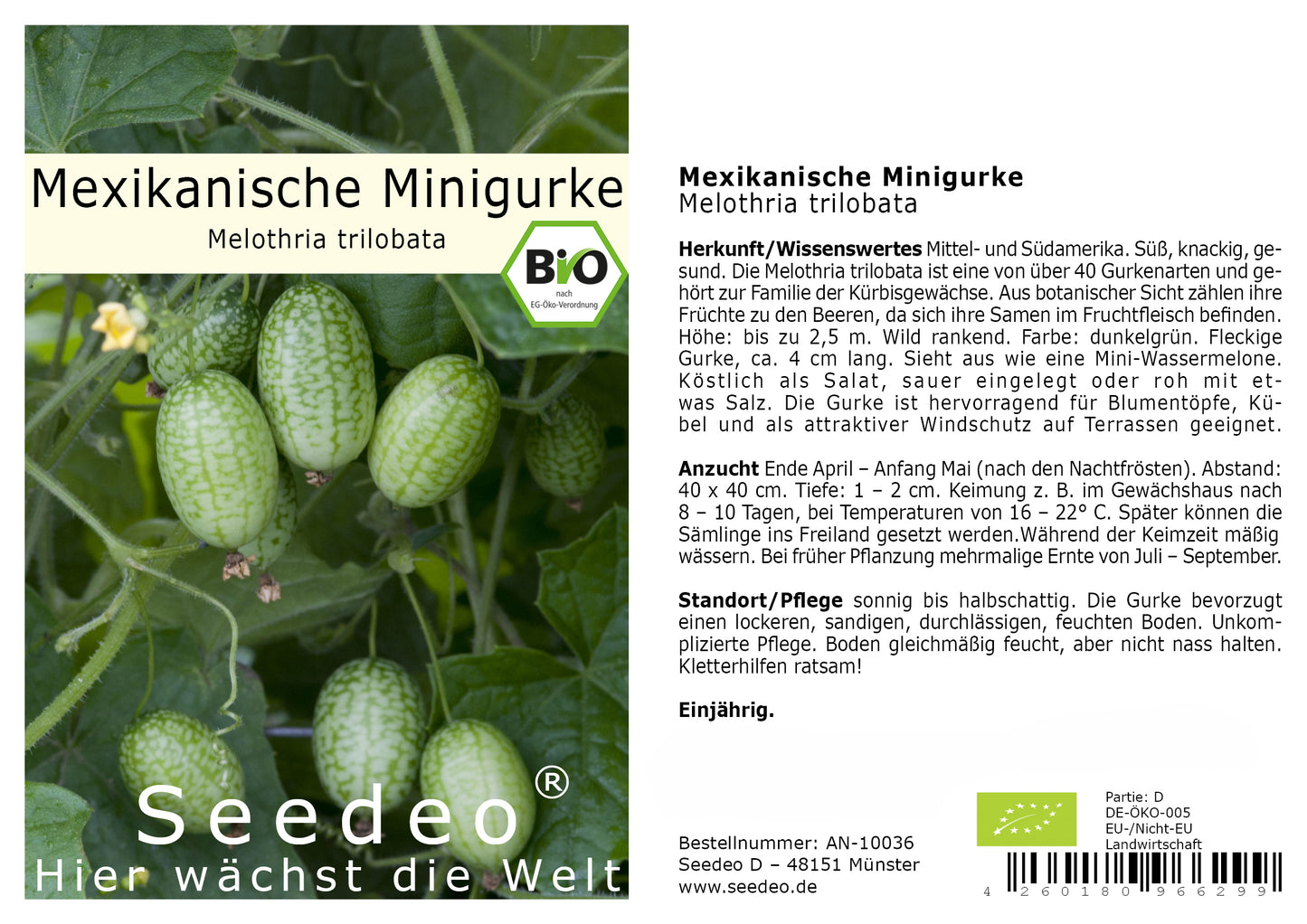 Seedeo® Mexikanische Minigurke (Melothria trilobata) 20 Samen BIO