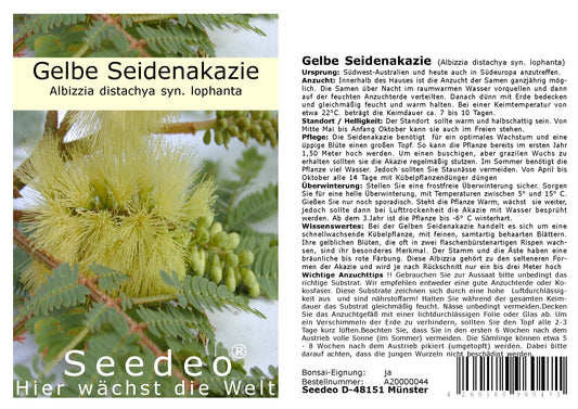 Seedeo® Gelbe Seidenakazie (Albizzia lophanta) 40 Samen