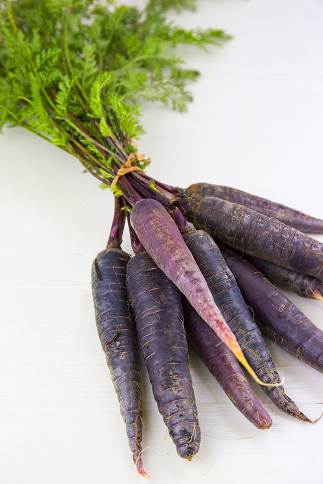 Seedeo® Karotte Lila Lu (Daucus carota) ca.100 Samen BIO