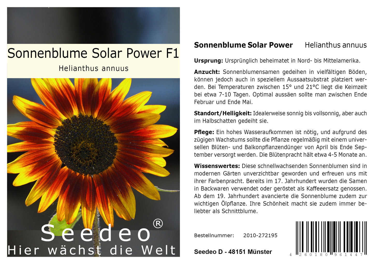 Seedeo® Sonnenblume Solar Power F1 (Helianthus annuus) 25 Samen