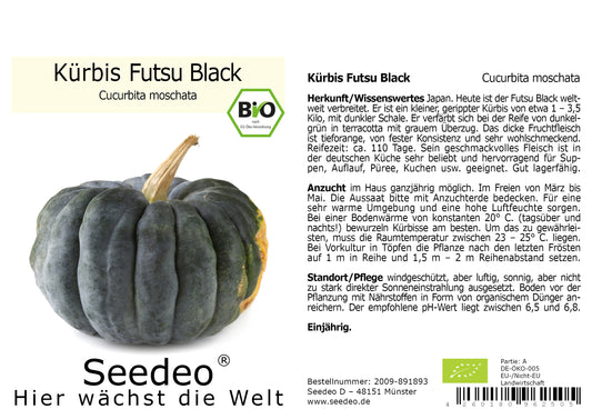 Seedeo® Kürbis Futsu Black (Cucurbita moschata) 10 Samen BIO