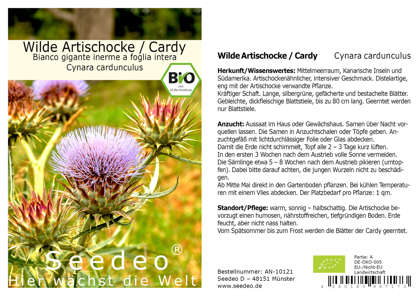 Seedeo® Wilde Artischocke / Cardy (Cynara cardunculus) 20 Samen BIO