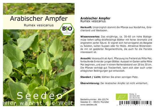 Seedeo® Arabischer Ampfer (Rumex vesicarius) 100 Samen BIO