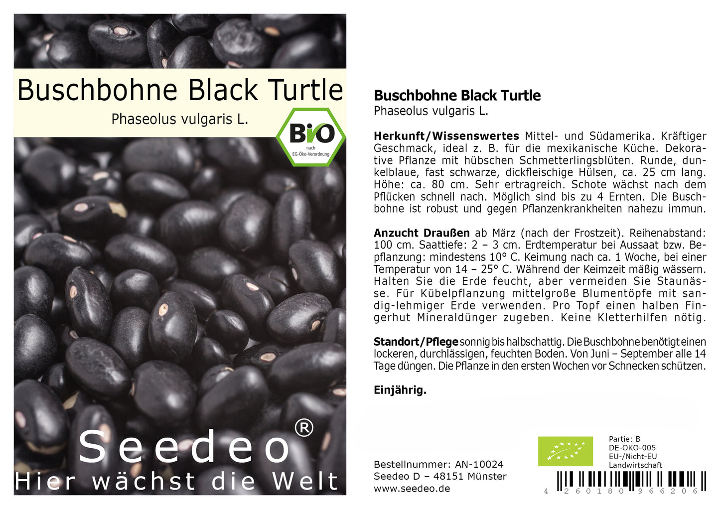 Seedeo® Buschbohne „Black Turtle“ (Phaseolus vulgaris L.) ca. 30 Samen BIO