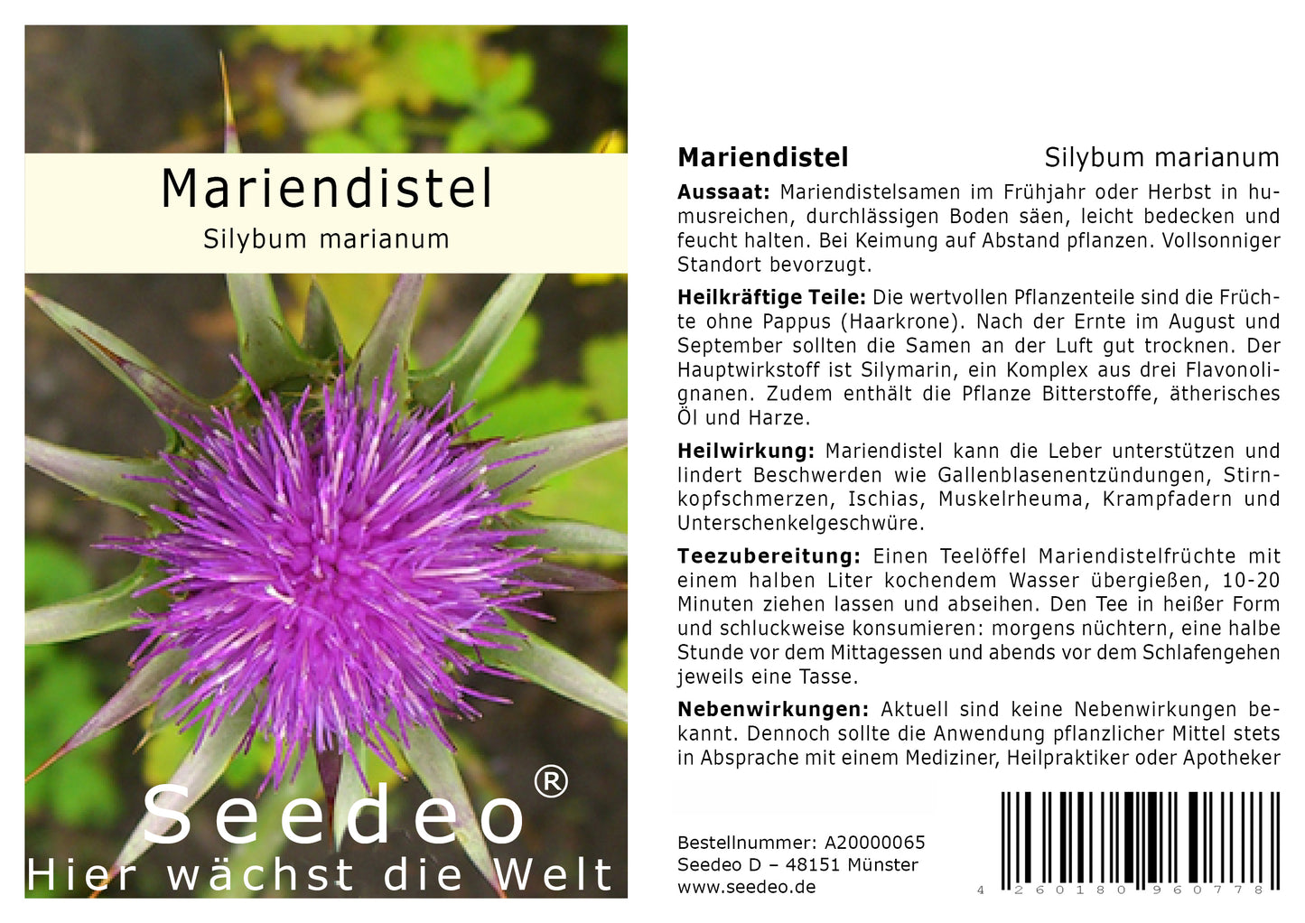 Seedeo® Mariendistel (Silybum marianum) 80 Samen