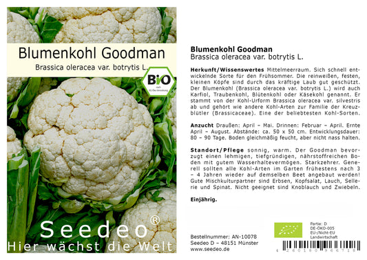 Seedeo® Blumenkohl / Karfiol Goodman (Brassica oleracea var. botrytis L.) 30 Samen BIO