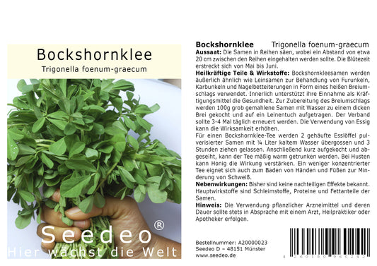 Seedeo® Bockshornklee (Trigonella foenum-graecum) 100 Samen