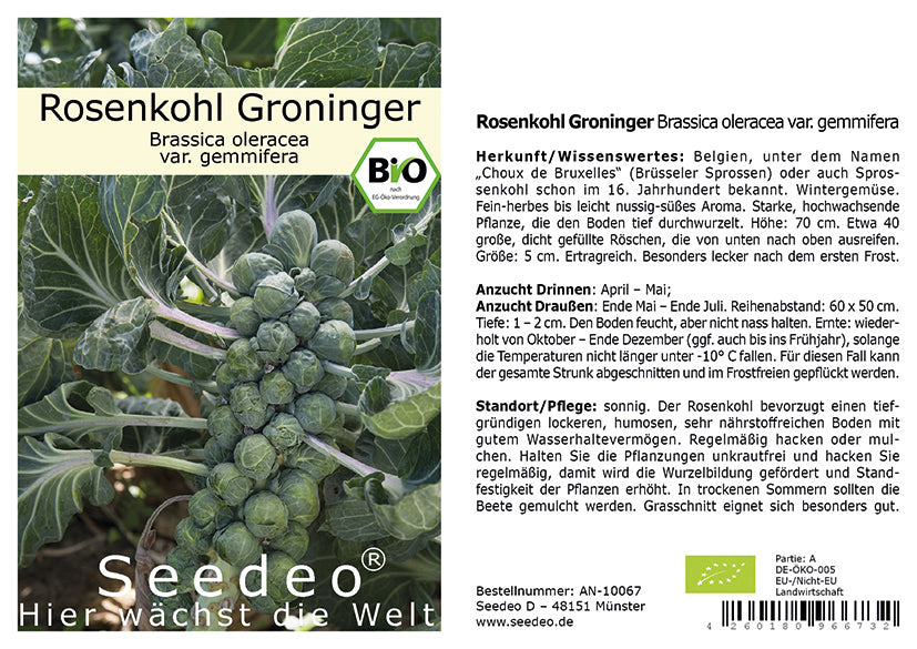 Seedeo® Rosenkohl Groninger  (Brassica oleracea var. gemmifera) 50 Samen BIO