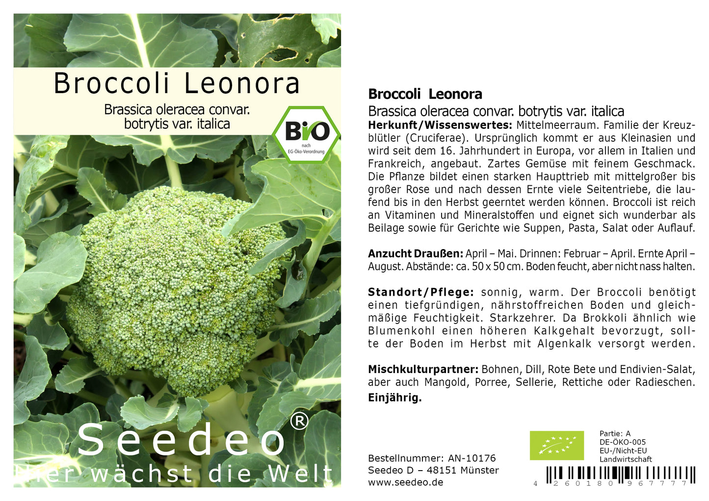 Seedeo® Broccoli Leonora (Brassica oleracea convar. botrytis var. italica) ca. 50 Samen BIO