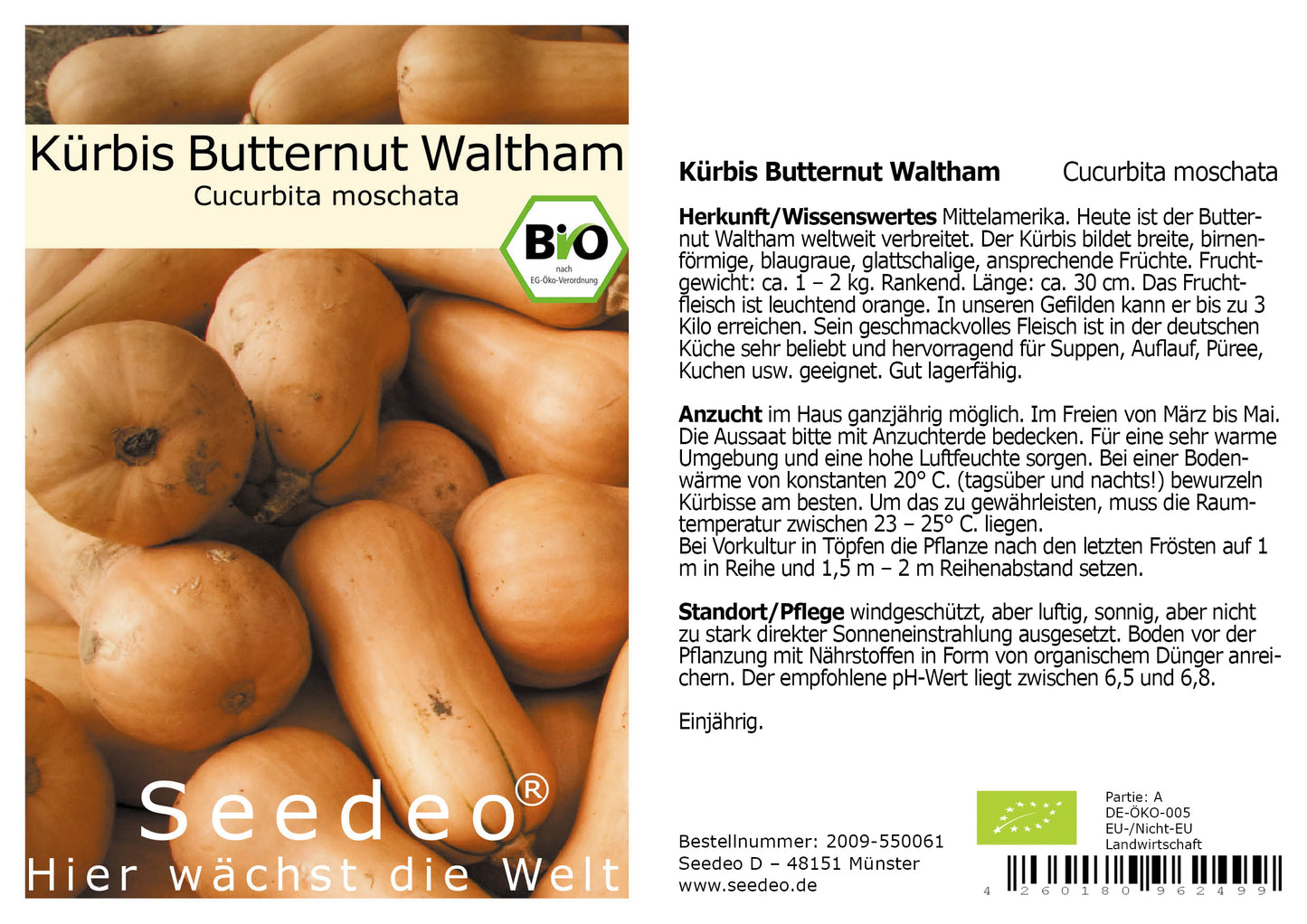 Seedeo® Kürbis Butternut Waltham (Cucurbita moschata) 7 Samen BIO