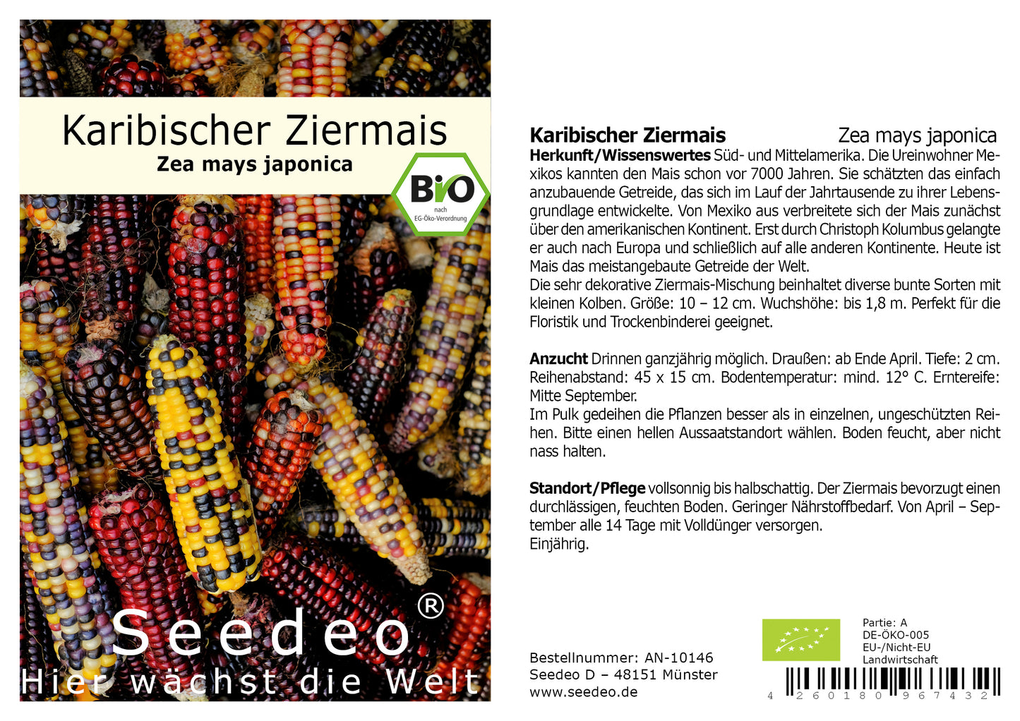 Seedeo® Karibischer Mais, Bunter Mais (Zea mays japonica) ca.20 Samen BIO