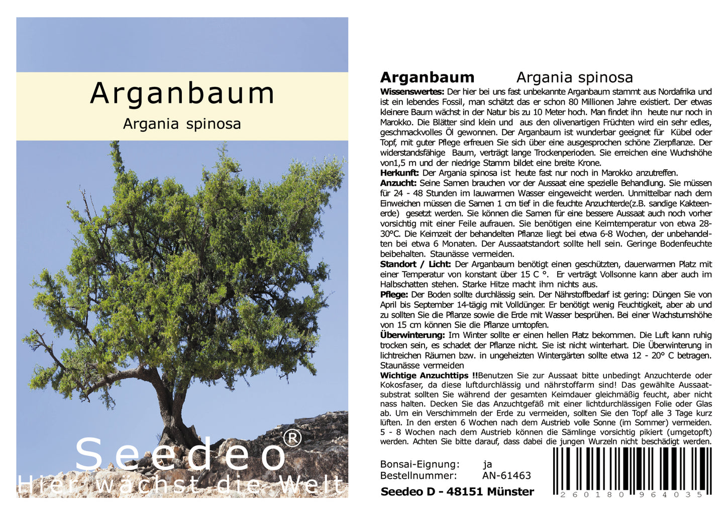 Seedeo® Arganbaum (Argania spinosa)  3 Samen