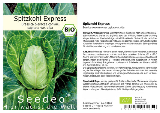 Seedeo® Spitzkohl Express (Brassica oleracea convar. capitata var. alba) ca. 100 Samen BIO