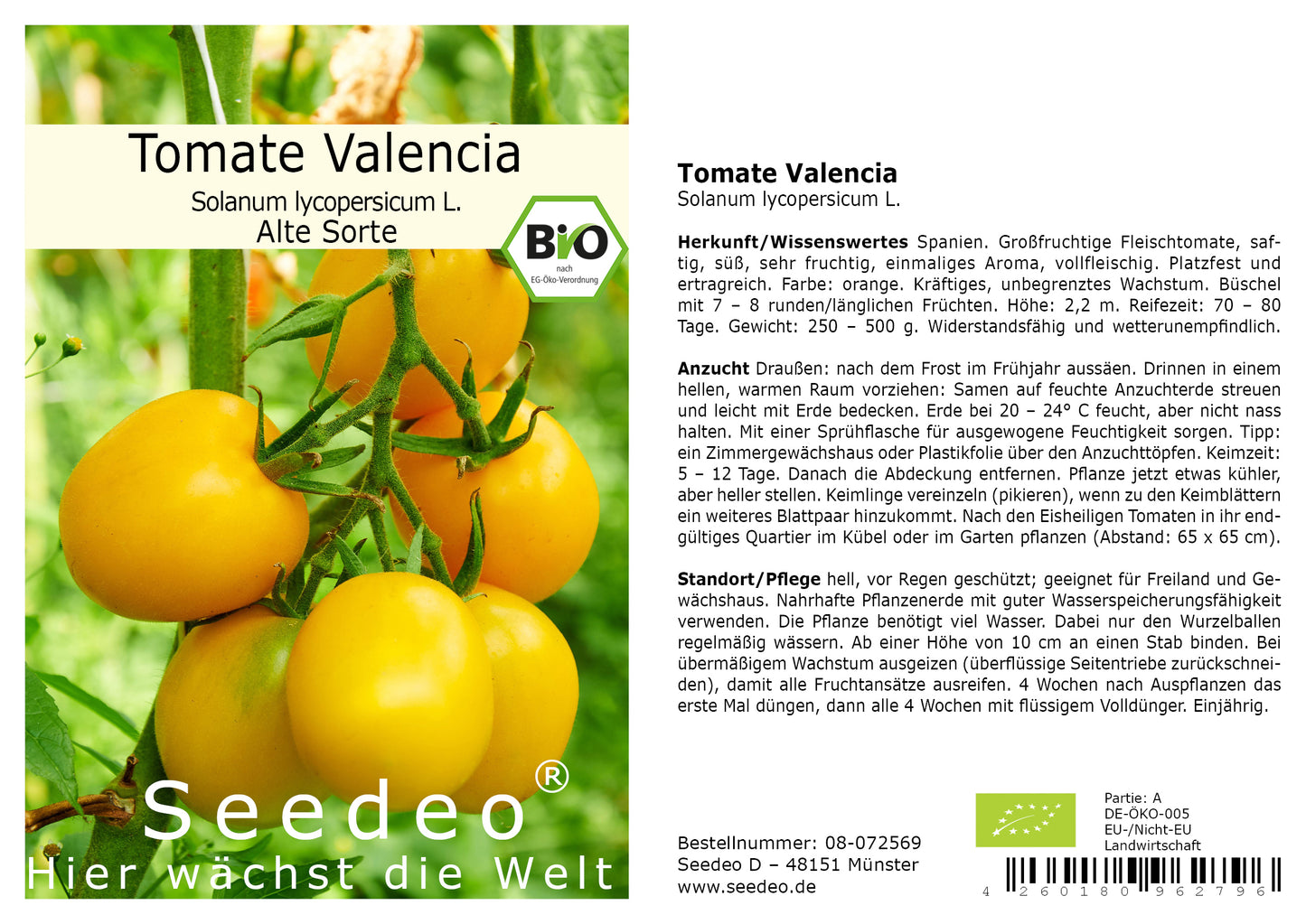 Seedeo® Tomate Valencia (Lycopersicum esculentum) 25 Samen BIO