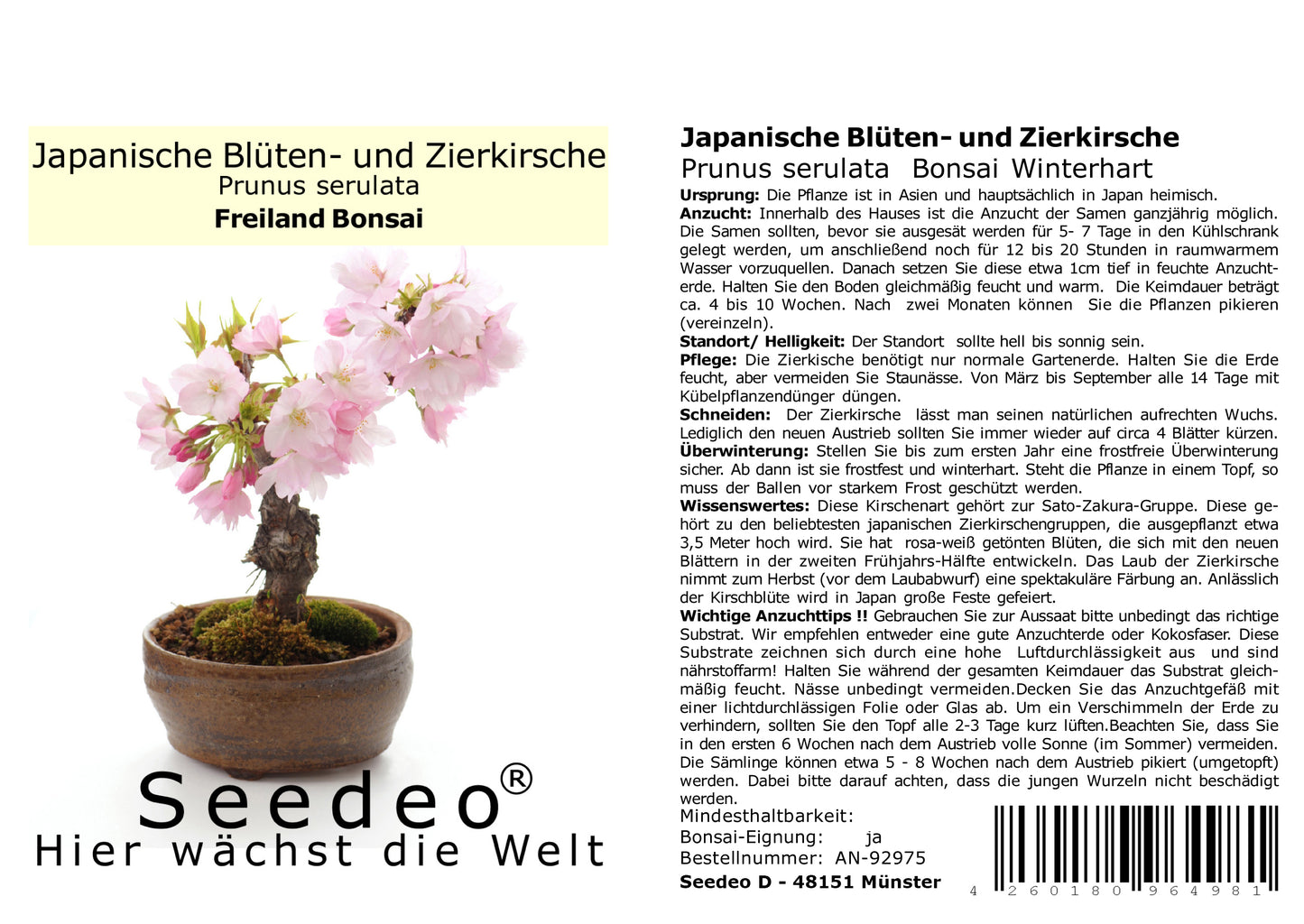 Seedeo® Japanische Blüten- und Zierkirsche  (Prunus serulata) Bonsai 25 Samen