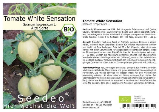 Seedeo® Tomate White Sensation (Lycopersicon esculentum Mill.) 25 Samen BIO