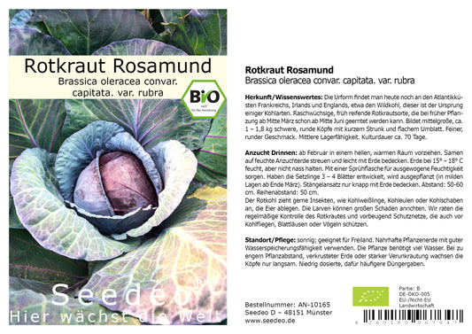 Seedeo® Rotkraut Rosamund (Brassica oleracea convar. capitata. var. rubra) ca. 100 Samen BIO