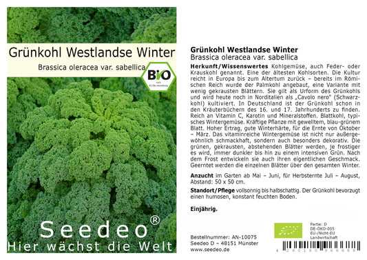 Seedeo® Grünkohl Westlandse Winter (Brassica oleracea var. sabellica) BIO 150 Samen