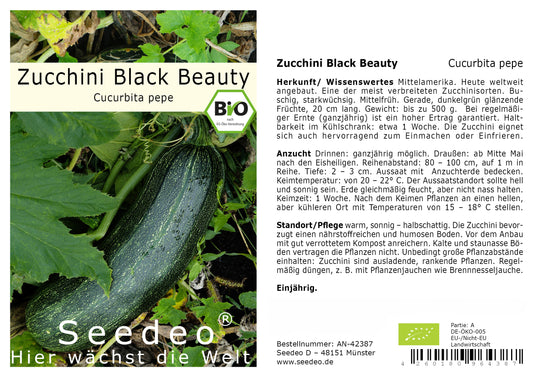 Seedeo® Zucchini Black Beauty (Cucurbita pepe) 15 Samen BIO