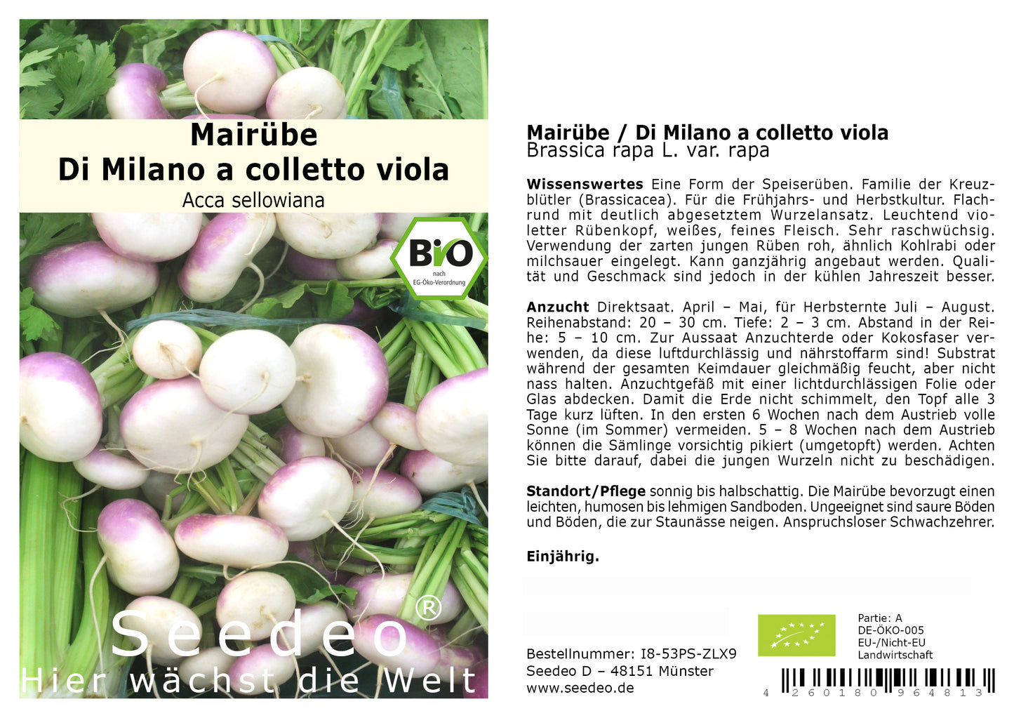 Seedeo® Mairübe Di Milano a colletto viola (Brassica rapa L. var. rapa) 200 Samen BIO