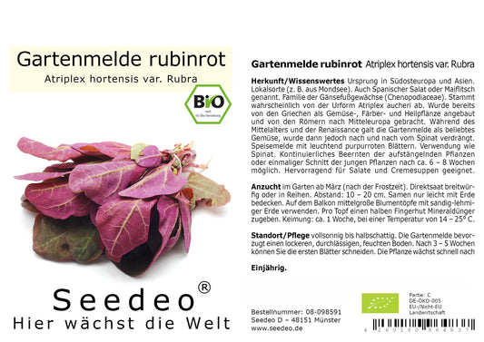 Seedeo® Gartenmelde rubinrot (Atriplex hortensis var. Rubra) 200 Samen BIO