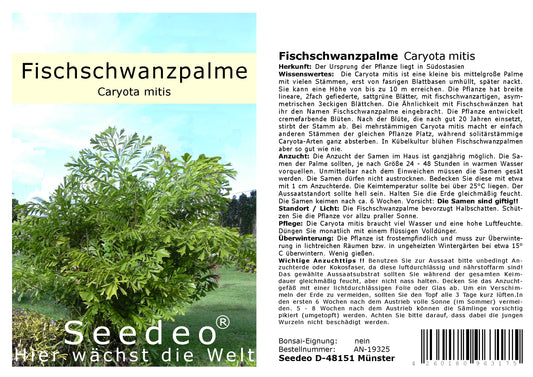 Seedeo® Fischschwanzpalme (Caryota mitis) 10 Samen