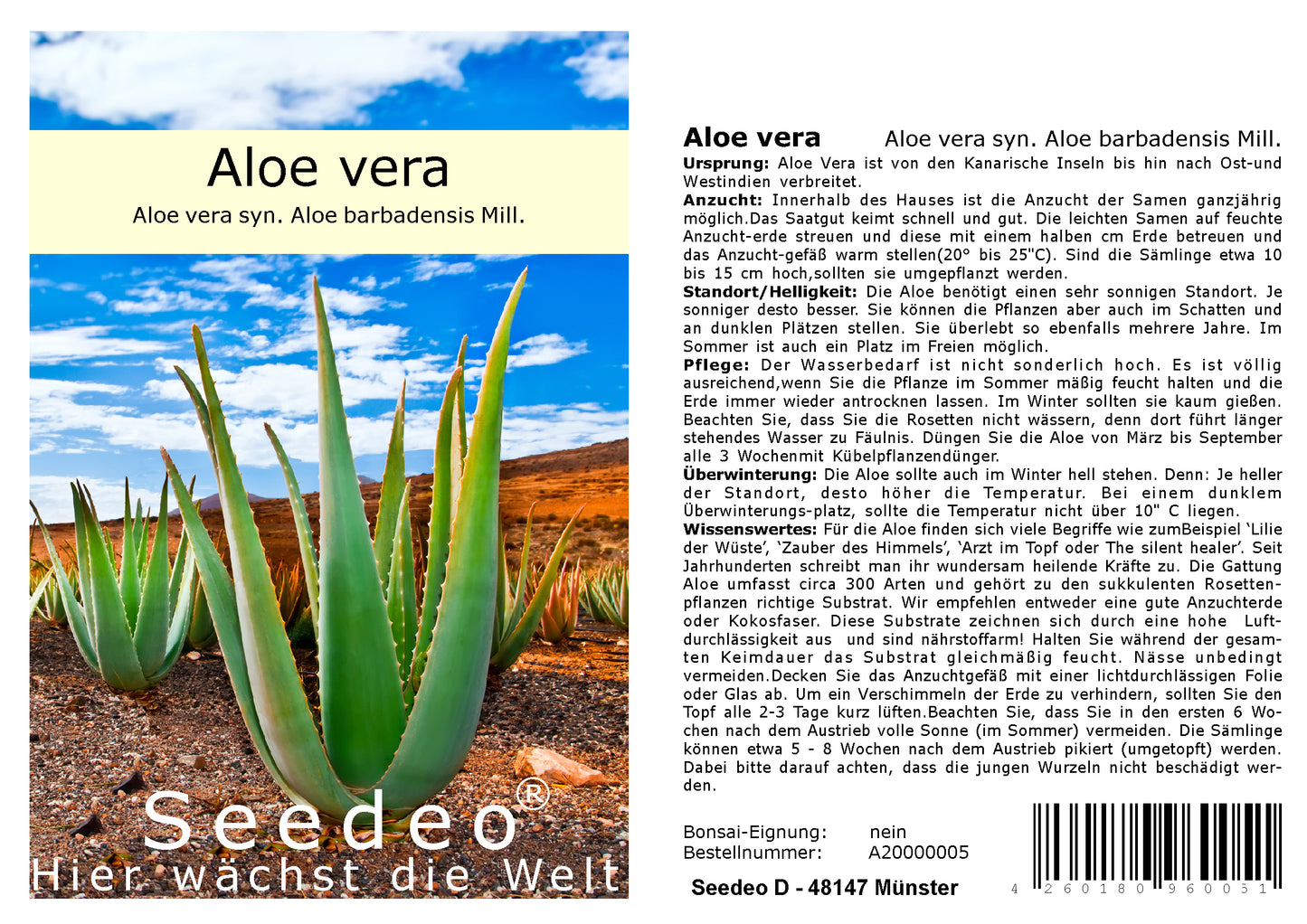 Seedeo® Aloe vera ( Aloe vera syn. Aloe barbadensis) 15 Samen