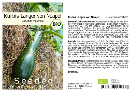 Seedeo® Kürbis Langer von Neapel (Cucurbita moschata) 10 Samen BIO