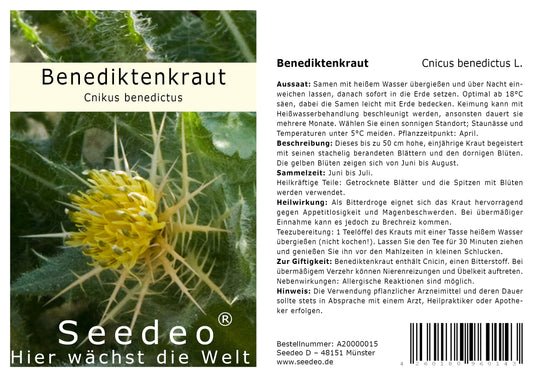 Seedeo® Benediktenkraut ( Cnicus benedictus L. ) 30 Samen