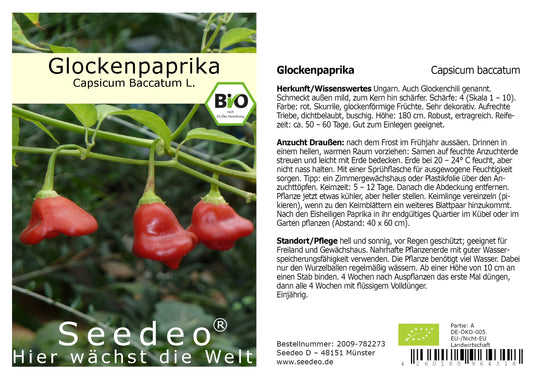 Seedeo® Glockenpaprika (capsicum baccatum L.) Samen BIO