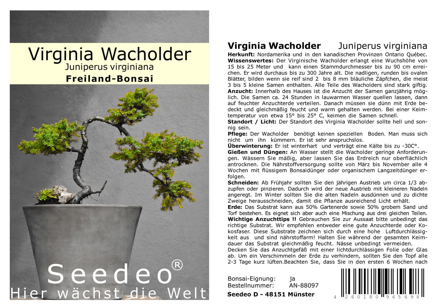 Seedeo® Virginia Wacholder (Juniperus virginiana) 25 Samen