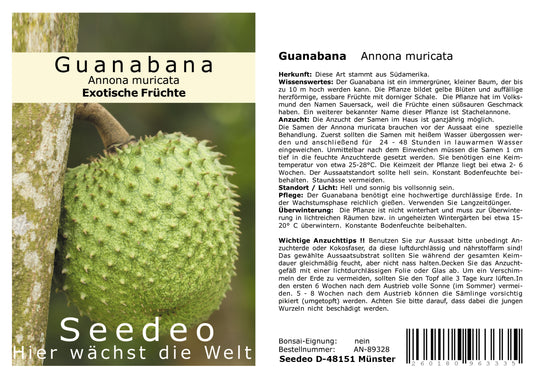 Seedeo® Guanabana Annona muricata 13 Samen