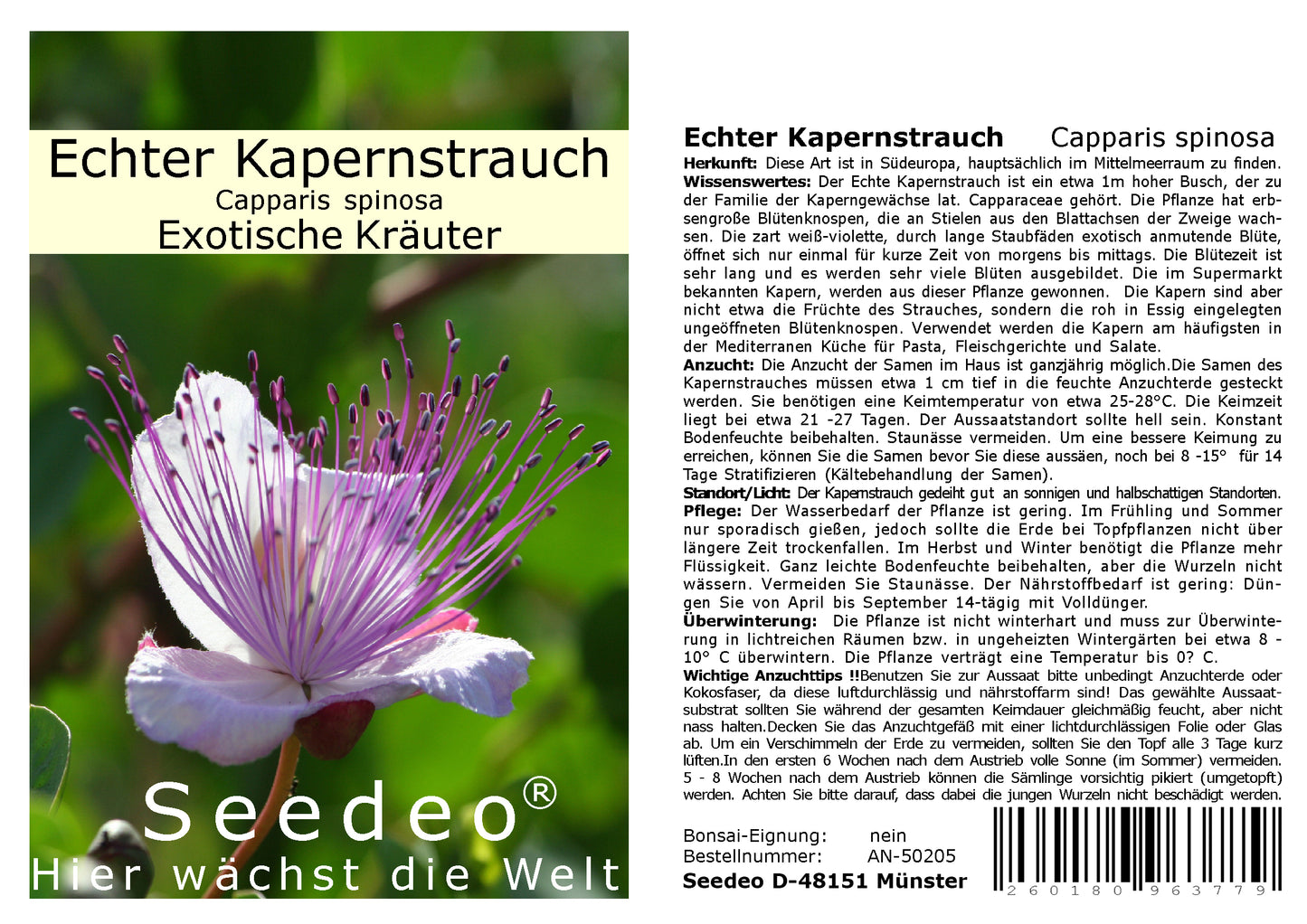 Seedeo® Echter Kapernstrauch (Capparis spinosa) 50 Samen